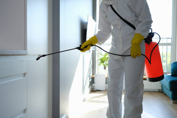 Mold Remediation for Rental Properties in Fair Haven, NJ